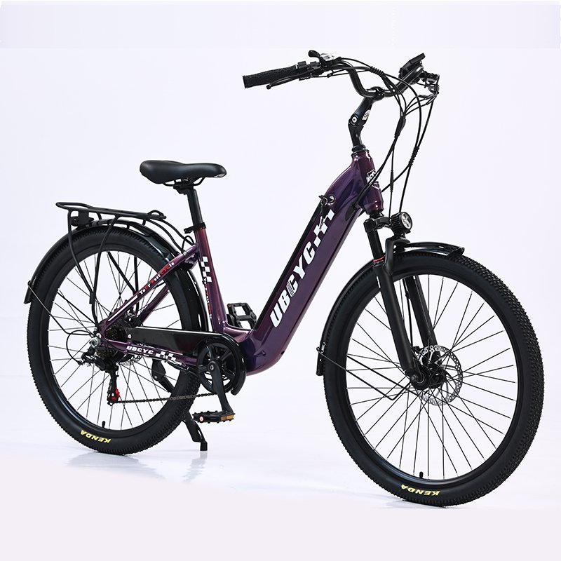 30% OFF Promotion New Model 250W 36V LAX Brushless Motor E-Bike Retro Style Long Range Electric City Bike