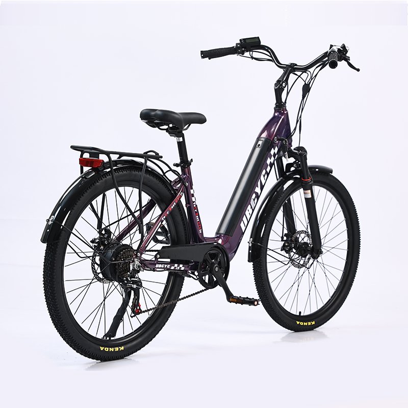 30% OFF Promotion New Model 250W 36V LAX Brushless Motor E-Bike Retro Style Long Range Electric City Bike