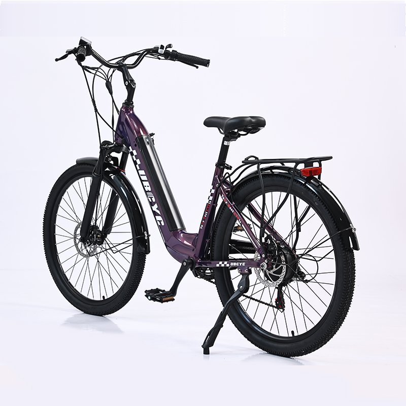 30% OFF Promotion New Model 250W 36V LAX Brushless Motor E-Bike Retro Style Long Range Electric City Bike