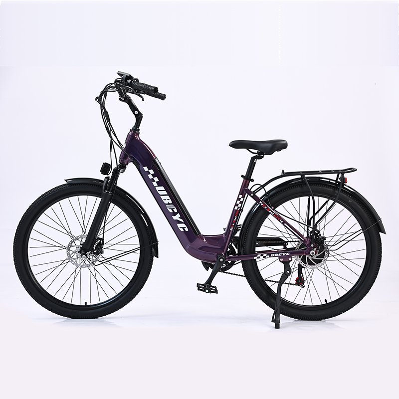 30% OFF Promotion New Model 250W 36V LAX Brushless Motor E-Bike Retro Style Long Range Electric City Bike