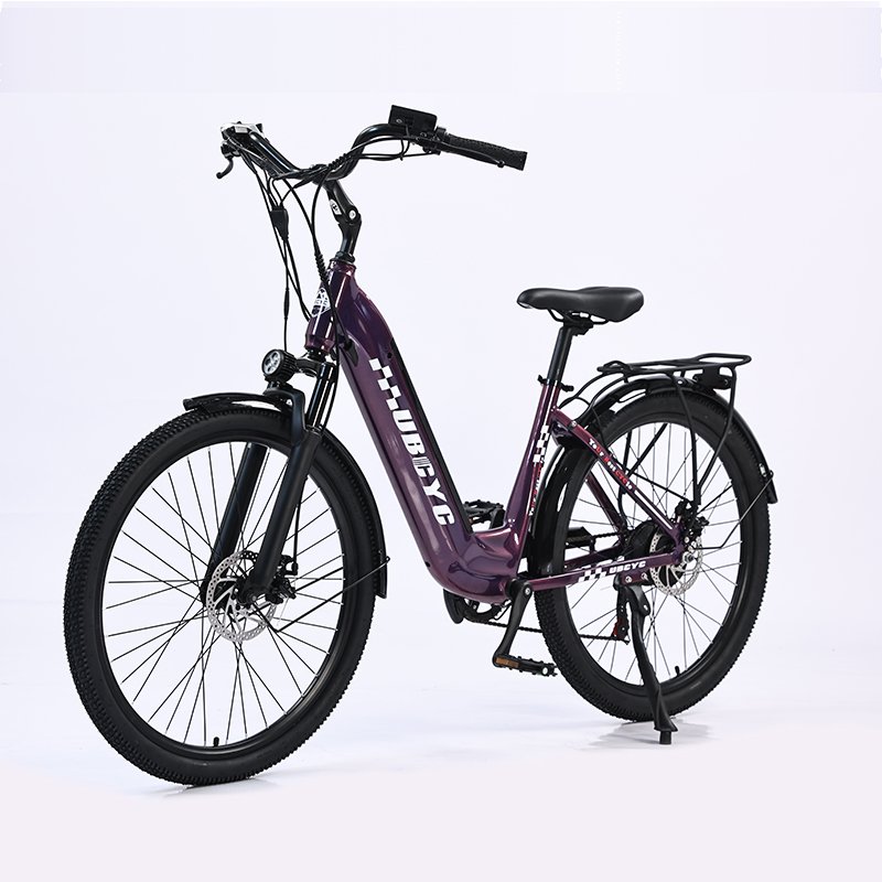 30% OFF Promotion New Model 250W 36V LAX Brushless Motor E-Bike Retro Style Long Range Electric City Bike