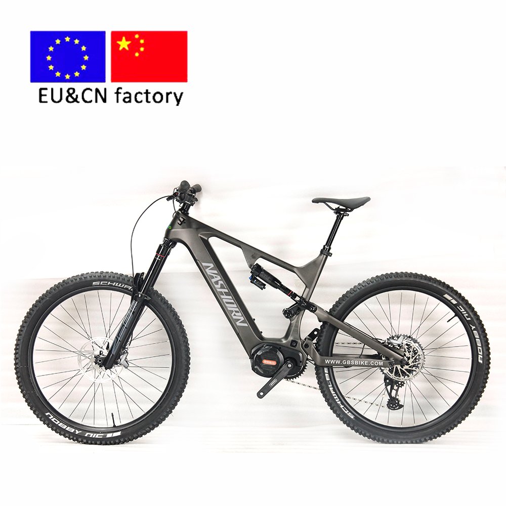 Carbon fiber frame electric bike hardtails electric mountain bike 48V 1000W adult electric bicycle