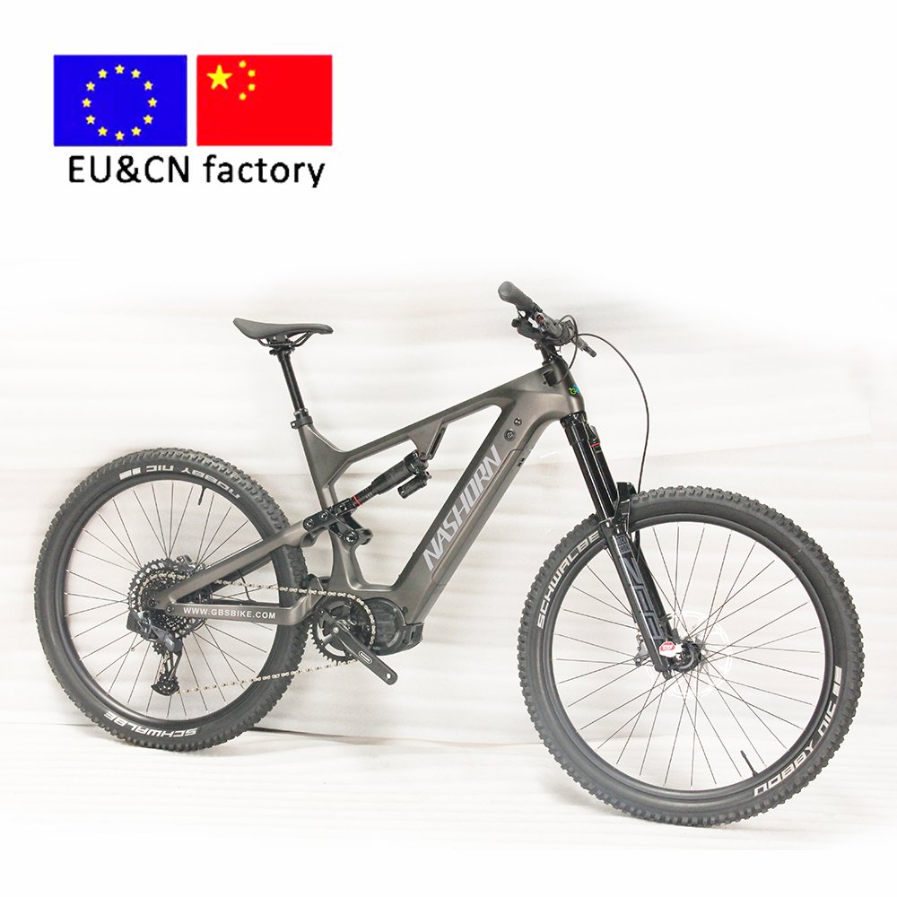 Carbon fiber frame electric bike hardtails electric mountain bike 48V 1000W adult electric bicycle