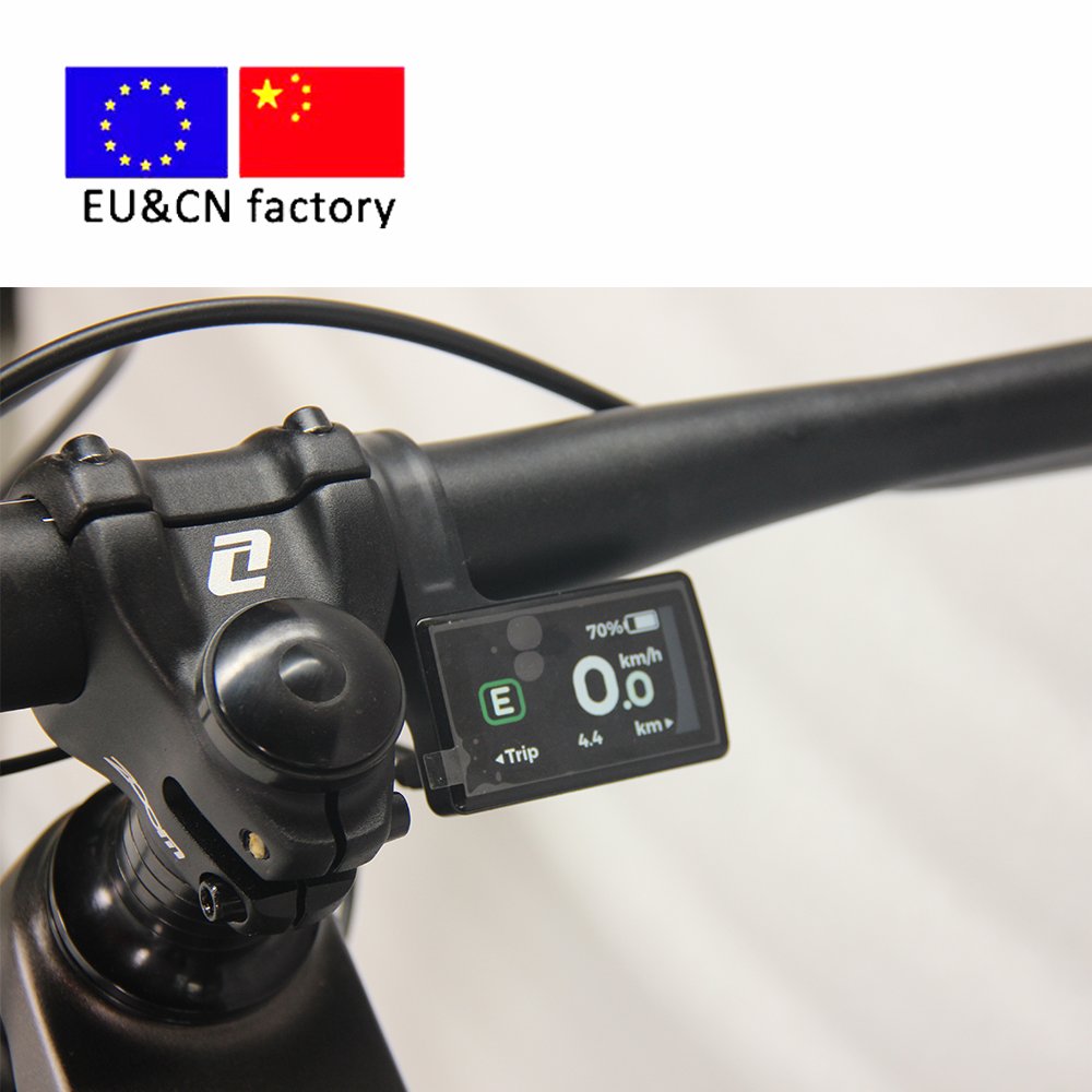 Carbon fiber frame electric bike hardtails electric mountain bike 48V 1000W adult electric bicycle