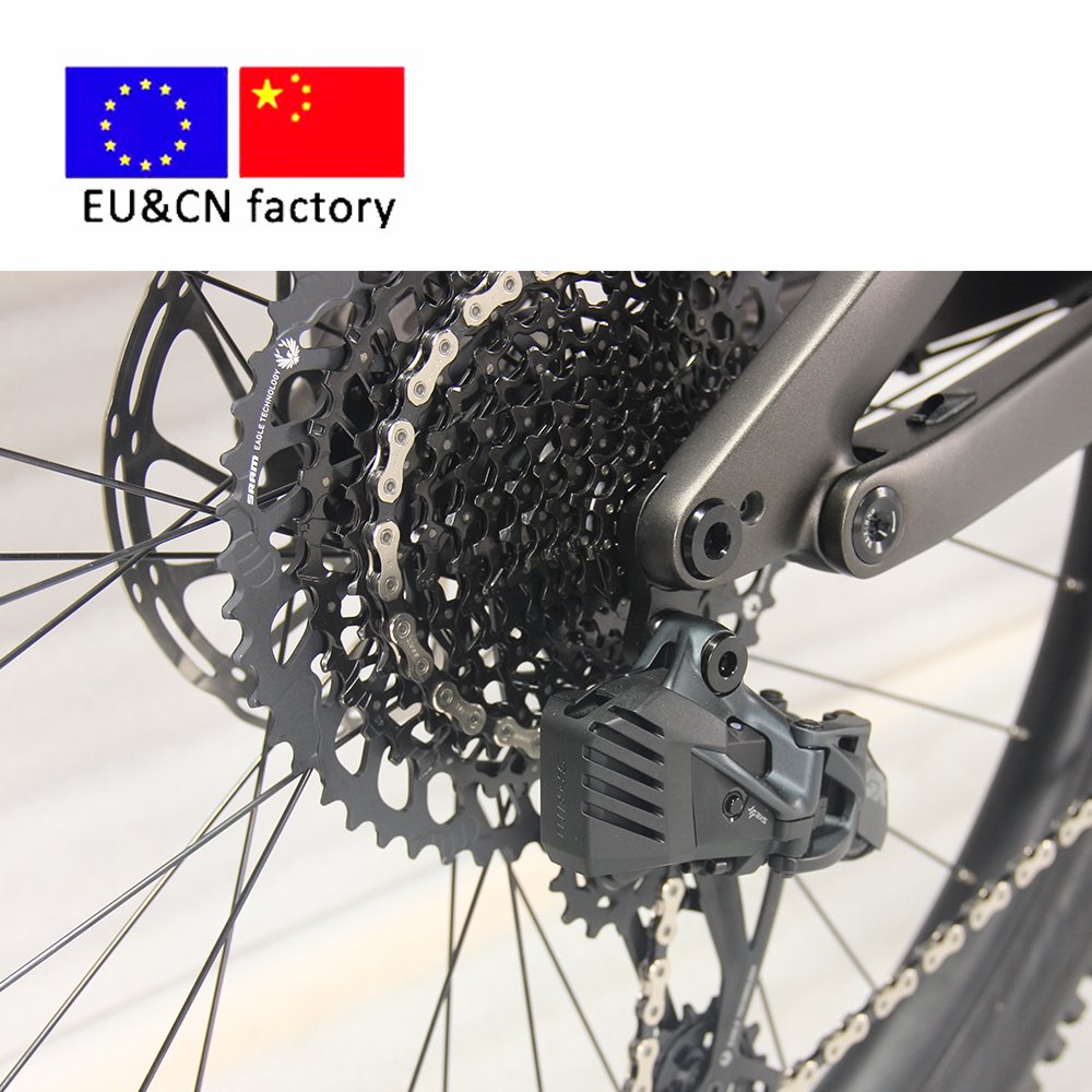 Carbon fiber frame electric bike hardtails electric mountain bike 48V 1000W adult electric bicycle