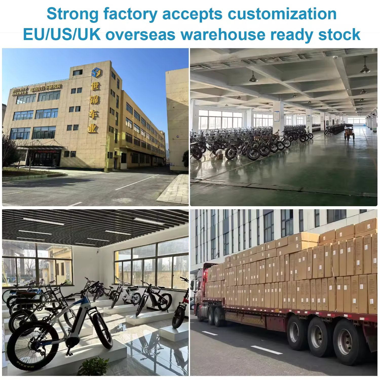 2024 best 20 inch folding 1000W 250W Electric Hybrid Bicycle Fat Tire electric city bike Mountain Adult Electric Dirt Bike
