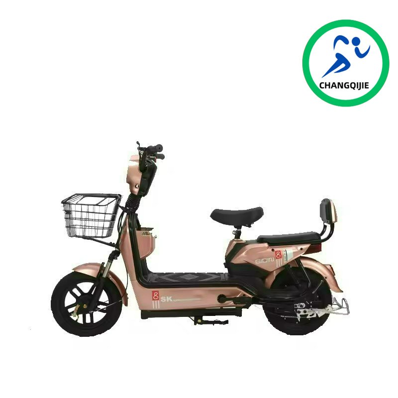 48V Bicycle Electric Fast Speed 14 Inch Fat Tire Lightweight Steel Frame Electronic Tube 48 V Electric Fast Bike