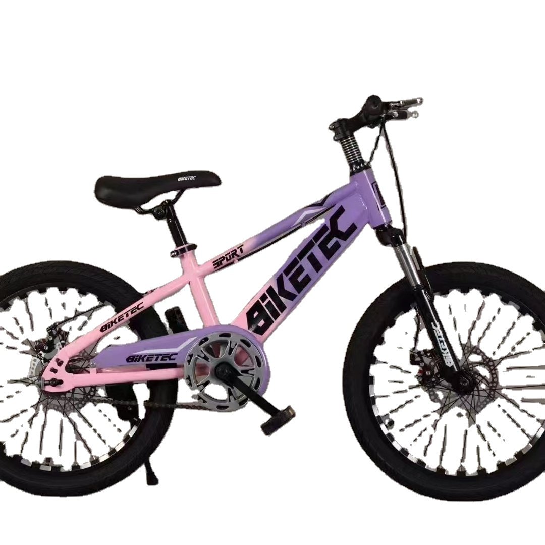 OEM Hot sale steel mountain bicycle single speed bike for adults 20 inch mountain bike