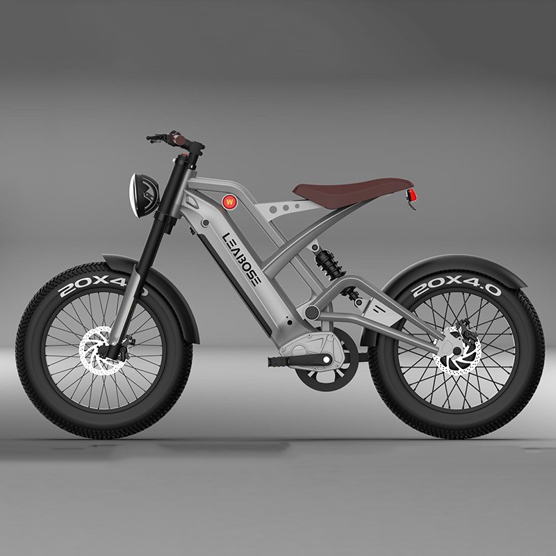 Factory Direct Sale electric bike manufacturer e Bicycle 1000w electric mountain bike