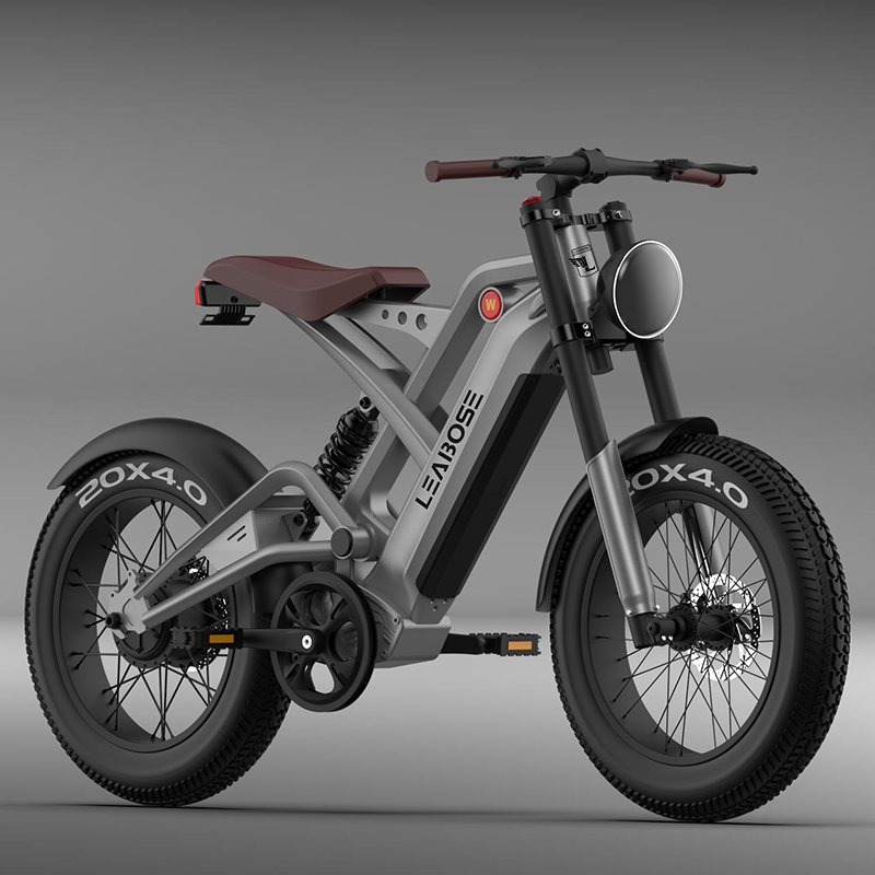 Factory Direct Sale electric bike manufacturer e Bicycle 1000w electric mountain bike