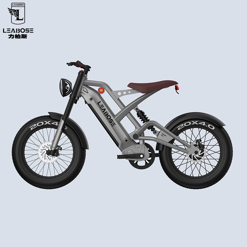 Factory Direct Sale electric bike manufacturer e Bicycle 1000w electric mountain bike