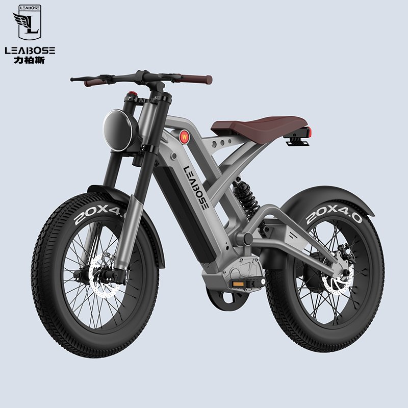 Factory Direct Sale electric bike manufacturer e Bicycle 1000w electric mountain bike