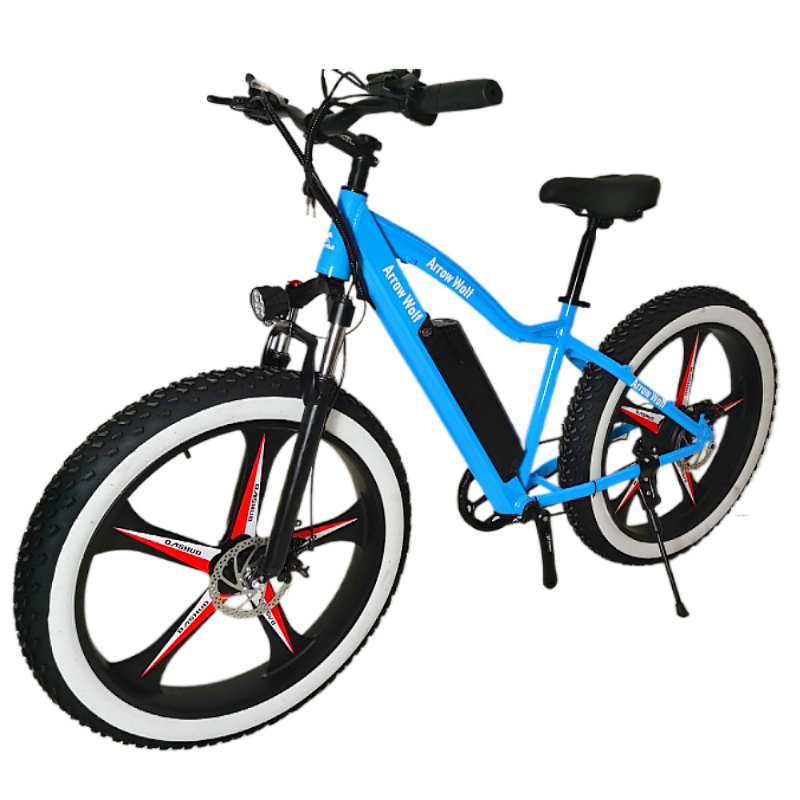 2024 Hot Selling 48V 7.5Ah Electric Bike, Electric Bicycle, Lithium Battery 750W Electric City Bike