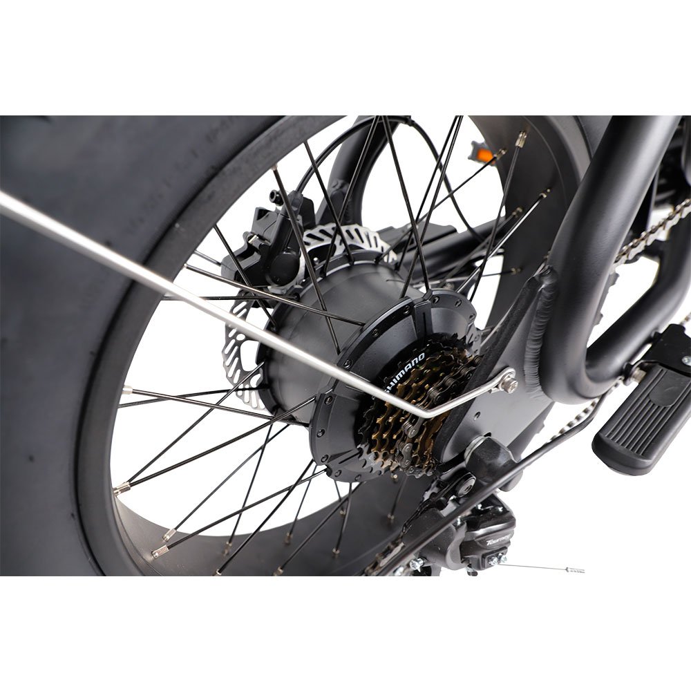 Aimos Retro Dual batteries Electric Bicycle 500W/1000W 20*4.0 fat tire Motorcycle Electric Mountain Bike with disc brake