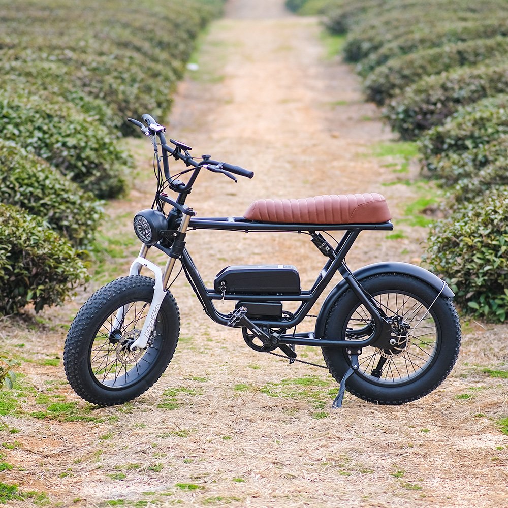 Aimos Retro Dual batteries Electric Bicycle 500W/1000W 20*4.0 fat tire Motorcycle Electric Mountain Bike with disc brake