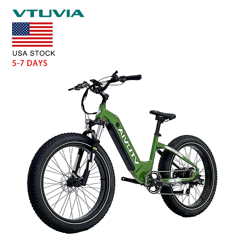 USA Warehouse Stock 250W 750w 36V 48v Battery Fat Tire Hub Motor Electric Mountain Hybrid Bike City Bicycle