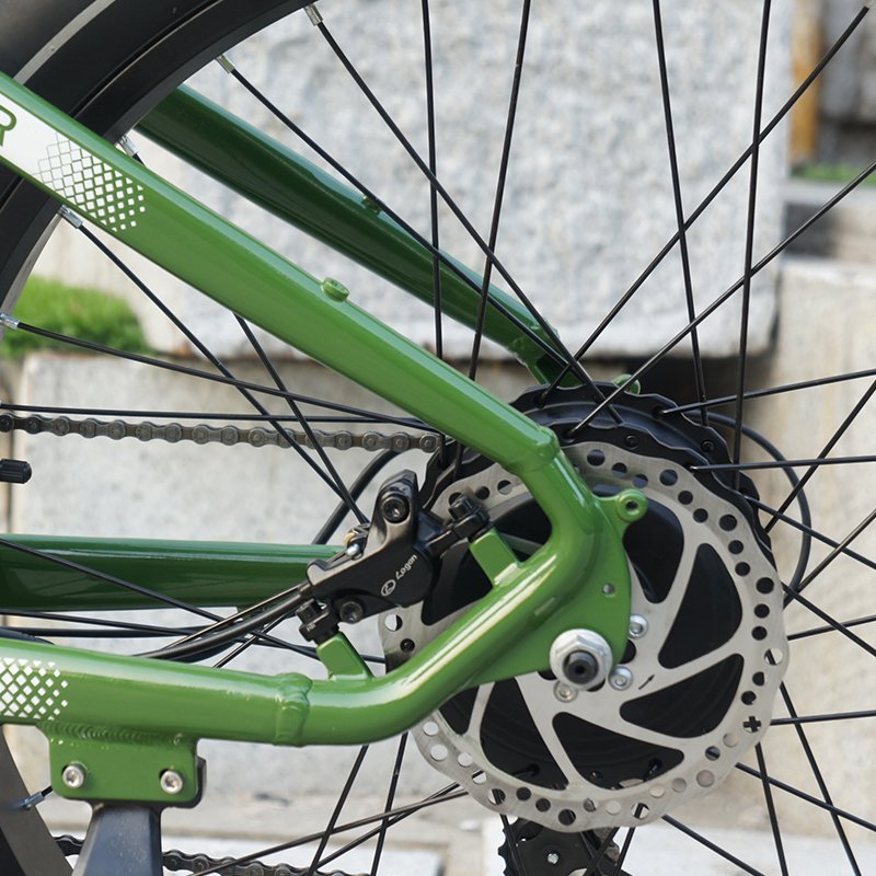 USA Warehouse Stock 250W 750w 36V 48v Battery Fat Tire Hub Motor Electric Mountain Hybrid Bike City Bicycle