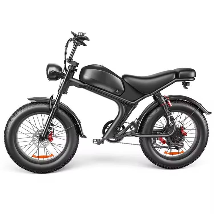 electric bicycle Full suspension ebike 48V 1000Watt 20inch electric fat tire mountain bike
