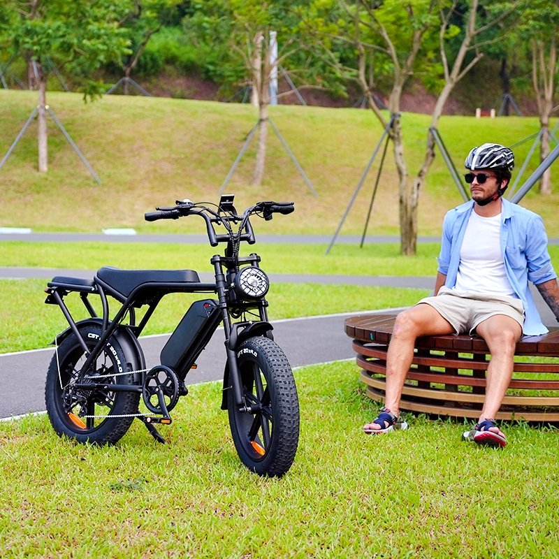 OUXI V8 electric bicycle fat tire Ebike 750w 20inch powerful electric mountain bike