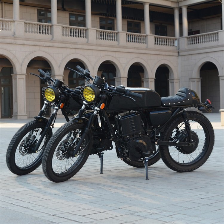 Snow Fat Wide Tire Electric Bike Bicycle 1000w
