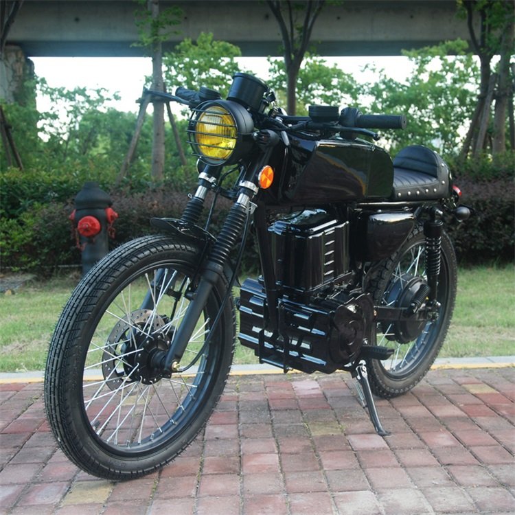 Snow Fat Wide Tire Electric Bike Bicycle 1000w