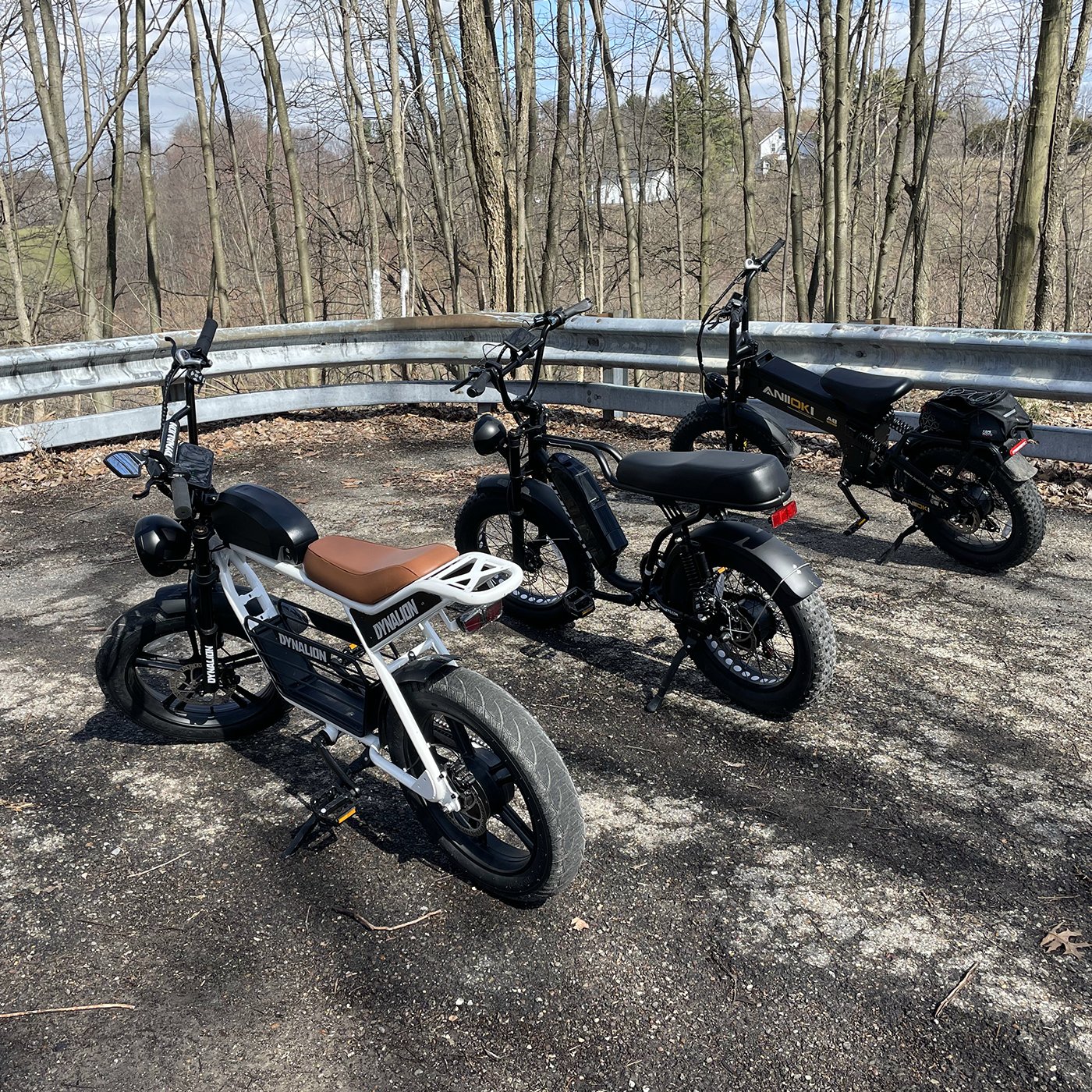 Hot Sell Popular Electric Mountain Bicycle 48V 1000W 16Ah Electric Mountain Bike EU USA Selling Electric Bicycle
