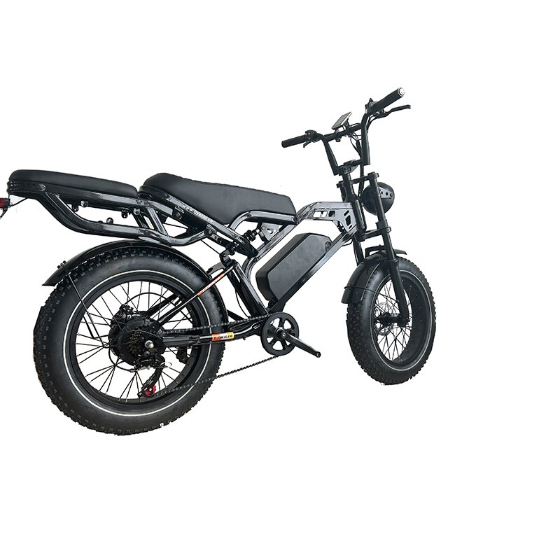 High-Speed 20-Inch Electric City Beach Cruiser Bike Dual Suspension System 34Ah Removable Dual Battery Steel Fat Tire E-Bike
