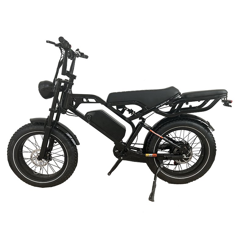 High-Speed 20-Inch Electric City Beach Cruiser Bike Dual Suspension System 34Ah Removable Dual Battery Steel Fat Tire E-Bike