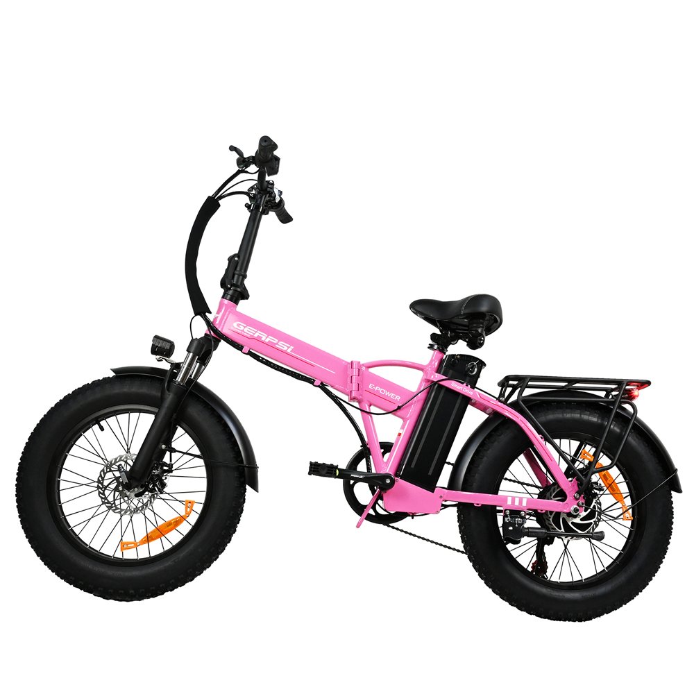 Factory Supply Folding Electric Bike 750W 1000W 48V 13AH 15AH Electric Mountain Bikes Off Road Electric Bike For Adult