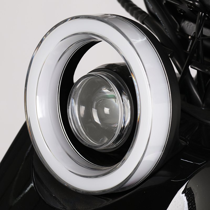 Factory adult 16inch fat tire 60V 500W 800W 50Ah cargo hybrid mountain scooter electric city bike electric bike
