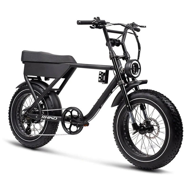 Eu Us Warehouse Mountain Bike 750W 1000W Electric Bicycle Long Range City Road Dirt Fat Tire Electric Bike Electric Hybrid Bike