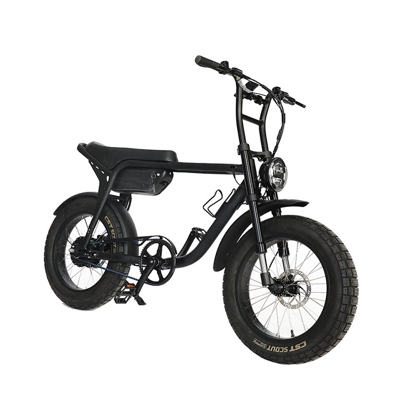 new trend popular electric bike 48v battery super motor fat tire 73 ebike retro high end electric hybrid city bicycle