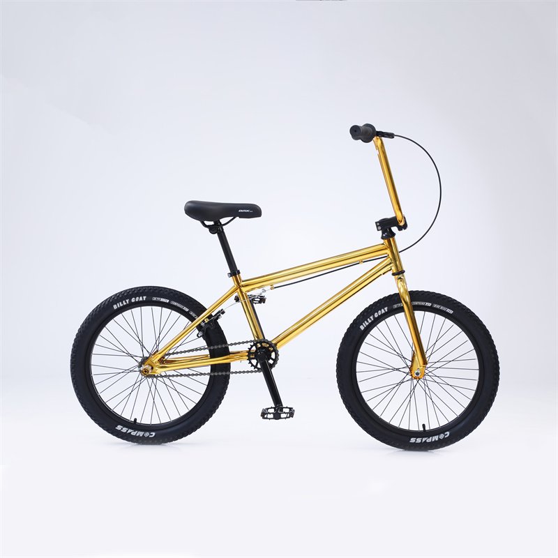 20 Inch BMX Bikes Suspension Aluminum Fork Ordinary Pedal V Brake & Double V Brake System Cheap Mountain Bike for Boys