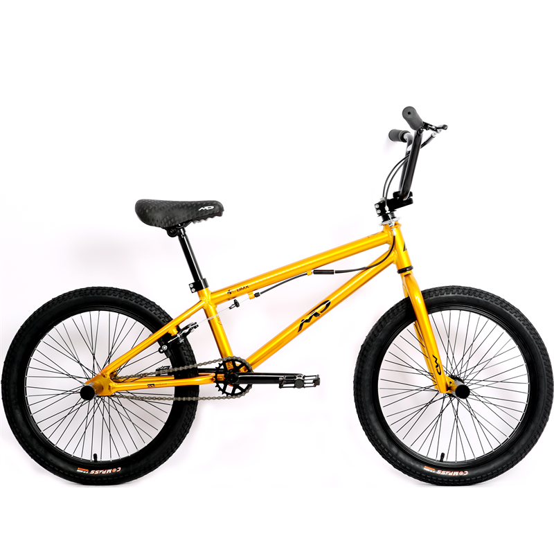 20 Inch BMX Bikes Suspension Aluminum Fork Ordinary Pedal V Brake & Double V Brake System Cheap Mountain Bike for Boys