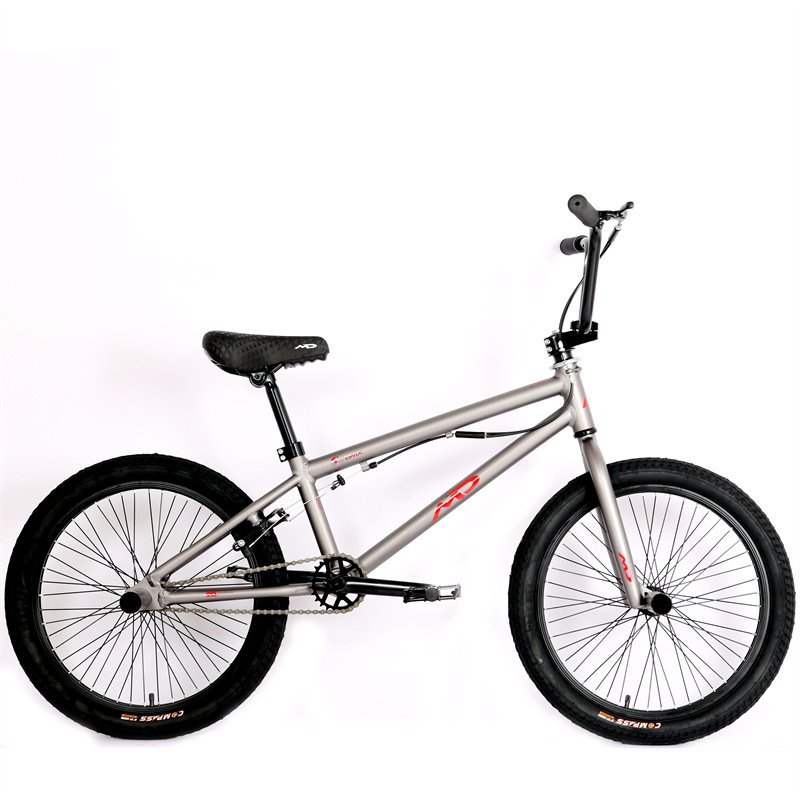 20 Inch BMX Bikes Suspension Aluminum Fork Ordinary Pedal V Brake & Double V Brake System Cheap Mountain Bike for Boys
