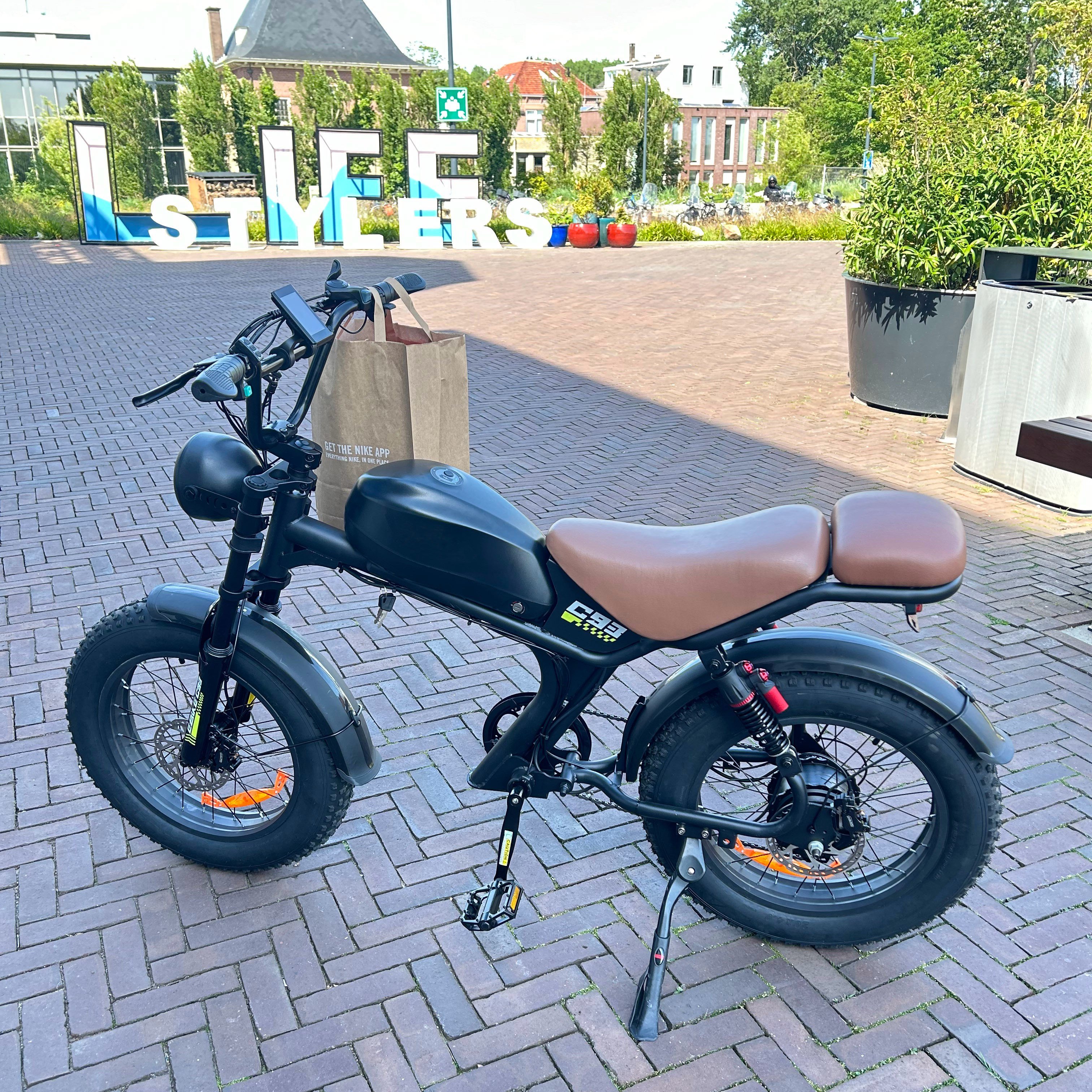EU US UK 48V 1000w high torque fat tire electric mountain bike