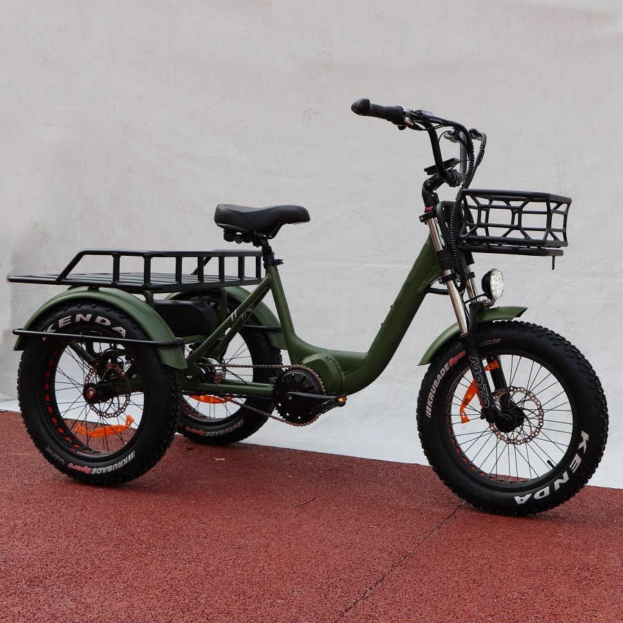 20inch Lithium Battery Trike 48v1000w Mid Drive Electric Tricycle Three Wheel Electric Cargo Bike Fat Tire Beach Etrike