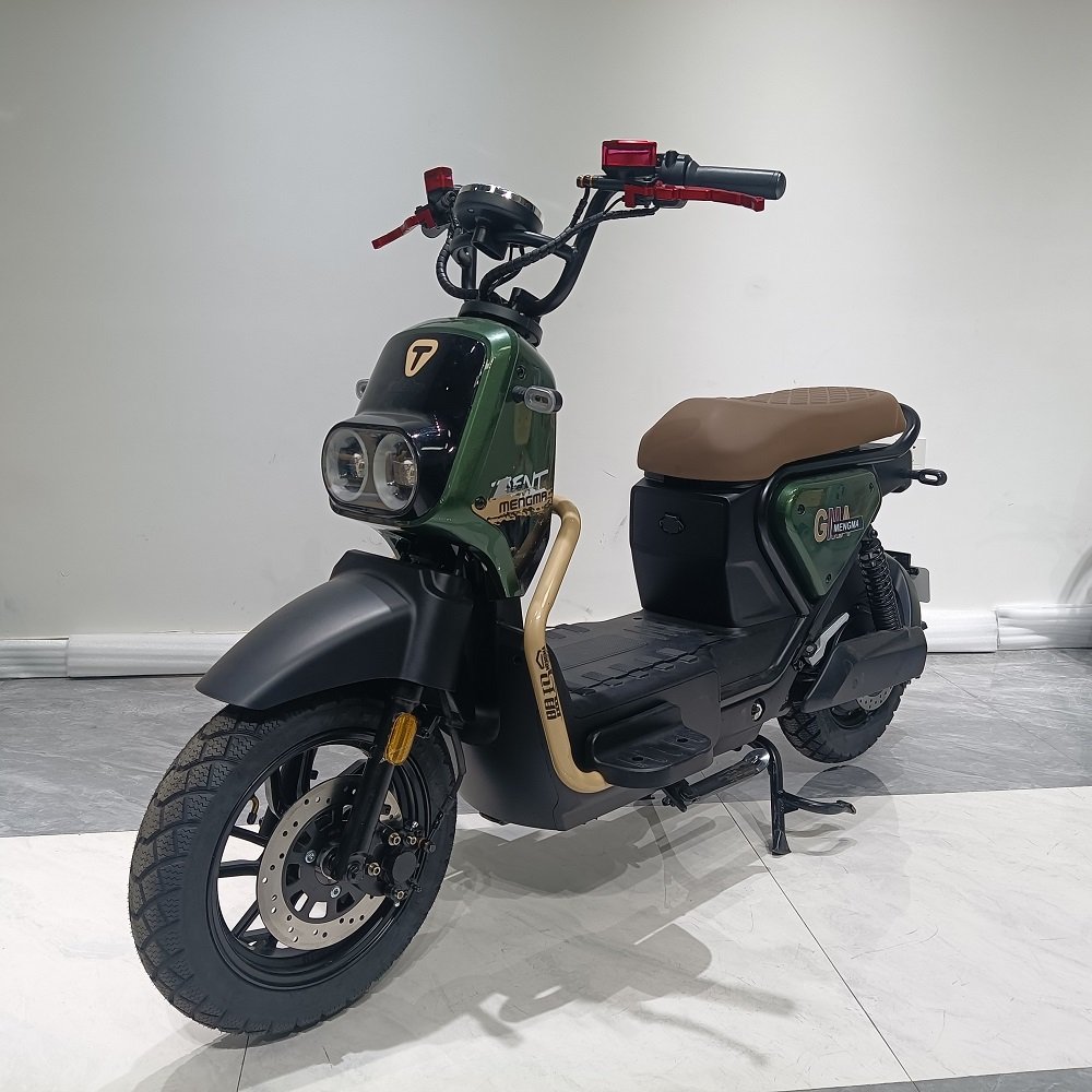 Hot Sale electric city bike Electric bike 1000W 60V electric scooter adult bike