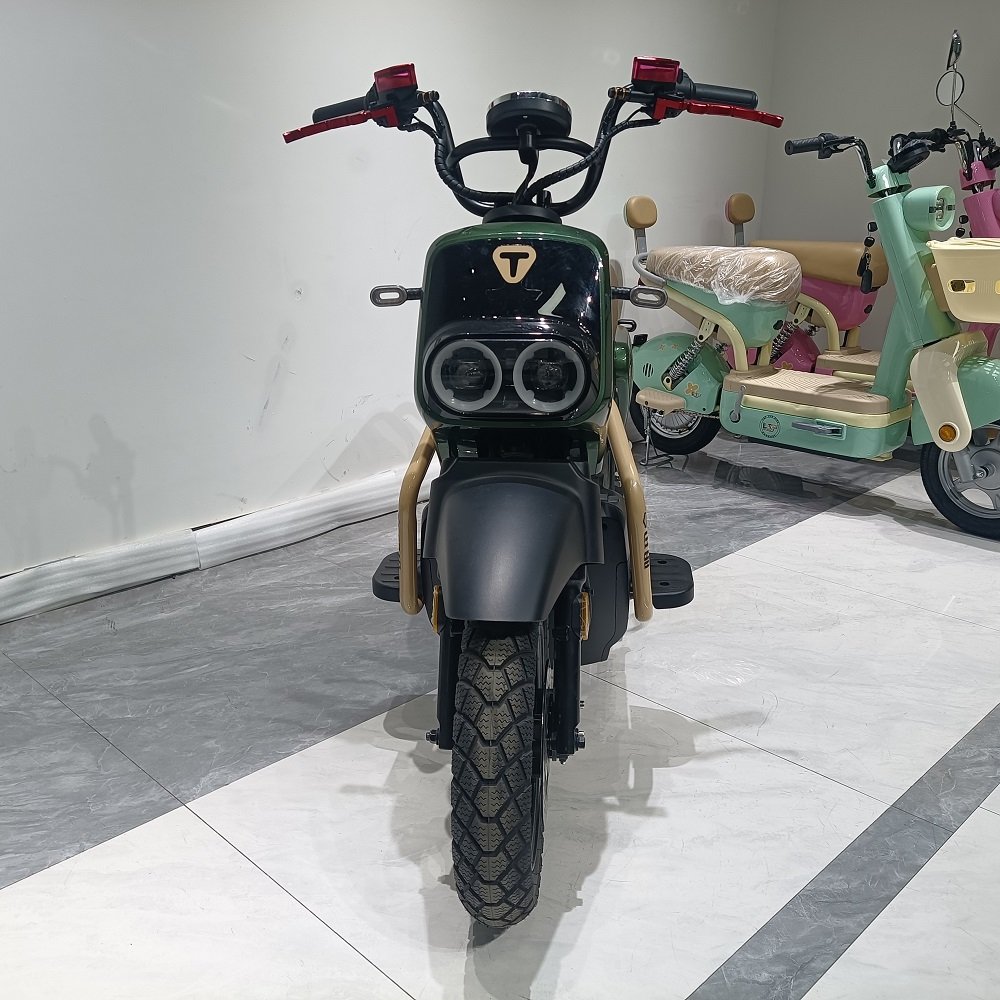 Hot Sale electric city bike Electric bike 1000W 60V electric scooter adult bike