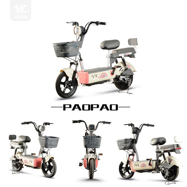 Electric Moped 500W Tianneng Lead-Acid Battery Hot Selling Electric Scooter