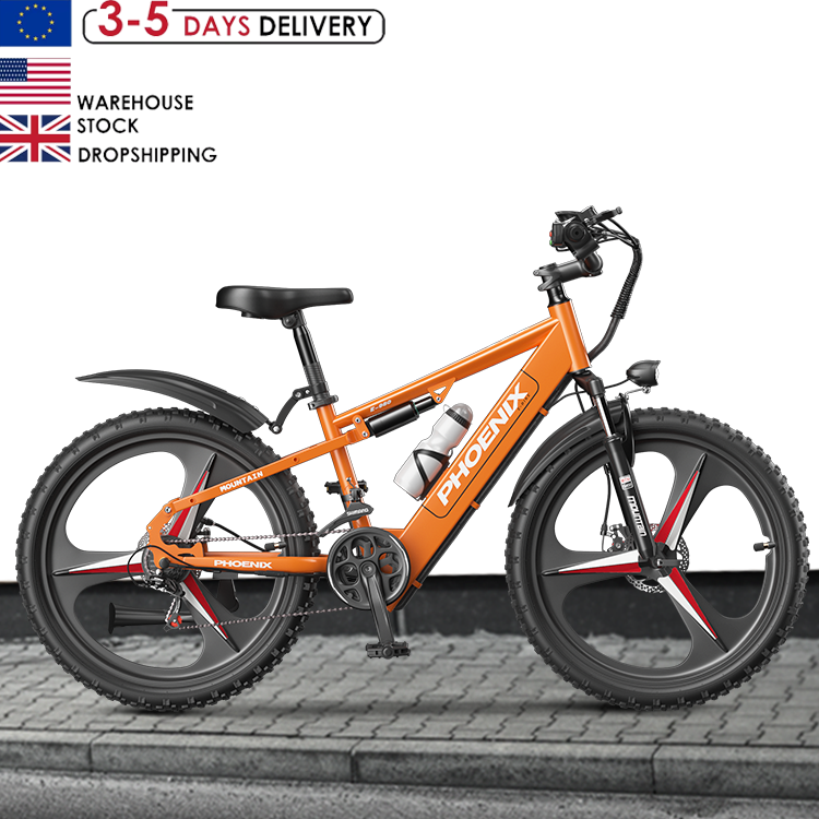 Factory Cheap Wholesale 21 Speed Adult Electric Mountain Bike 26 Inch Fat Tire Electric Bikes 48V 20AH Electric Mountain Bike