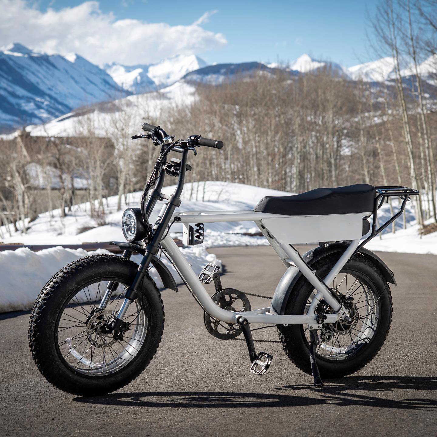 Affordable 750W Electric Mountain Bike for Men 20 Inch Electric Bicycle with Fat Tires - EU/US Warehouse Stock