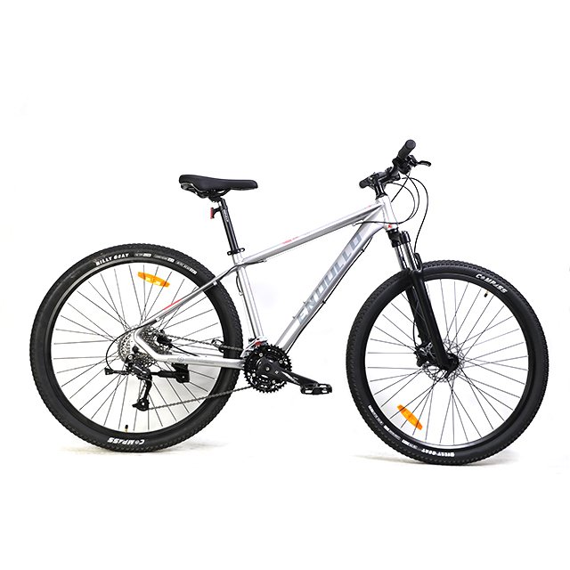 High Quality Popular 29 Inch Alloy Frame MTB Mountain Bike
