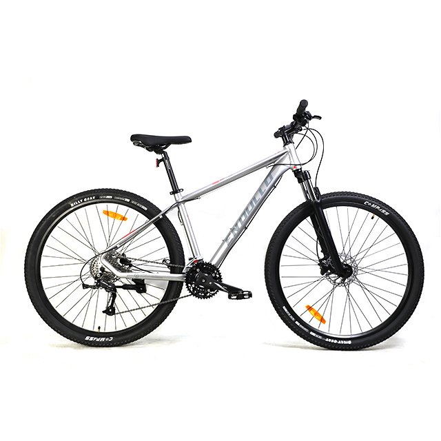 High Quality Popular 29 Inch Alloy Frame MTB Mountain Bike