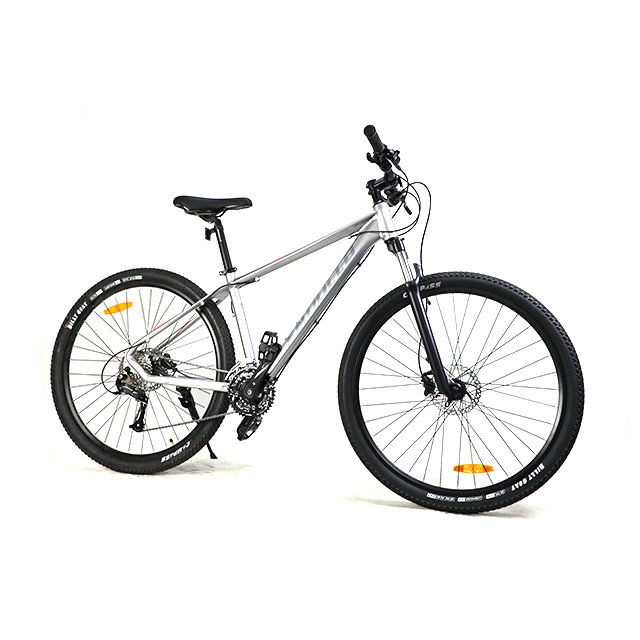 High Quality Popular 29 Inch Alloy Frame MTB Mountain Bike