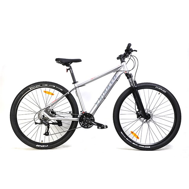 High Quality Popular 29 Inch Alloy Frame MTB Mountain Bike