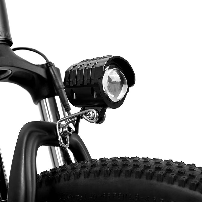 Chinese Wholesale Cheap 750w Fat Tire 20inch Electric City Bike for Adult Eu