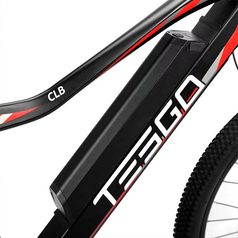 Chinese Wholesale Cheap 750w Fat Tire 20inch Electric City Bike for Adult Eu