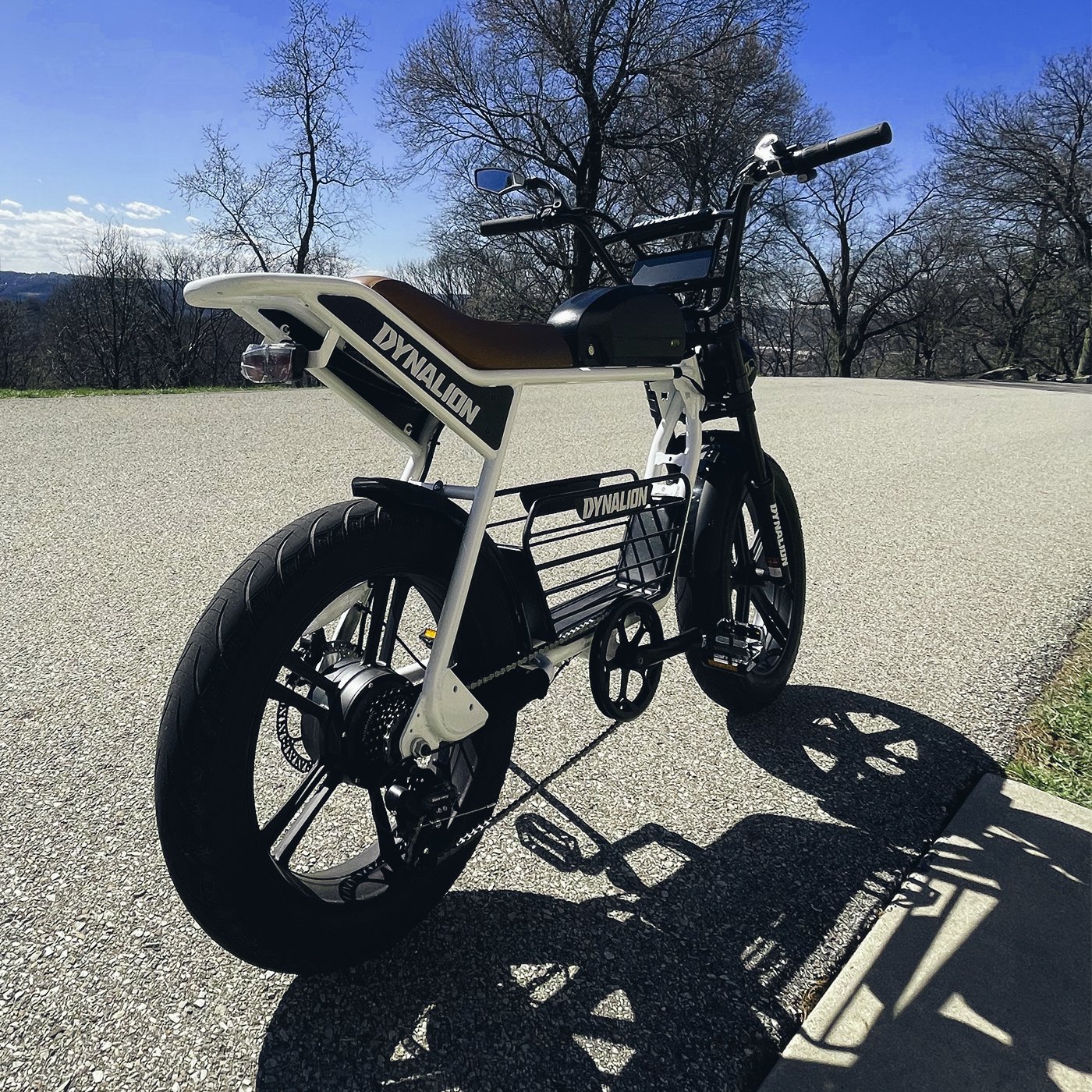 Factory Price 48v 1000w Emtb Retro E-Bike Electric Cycle Road Dirt Fat Tire E Bike Ebike Electric Mountain Bike