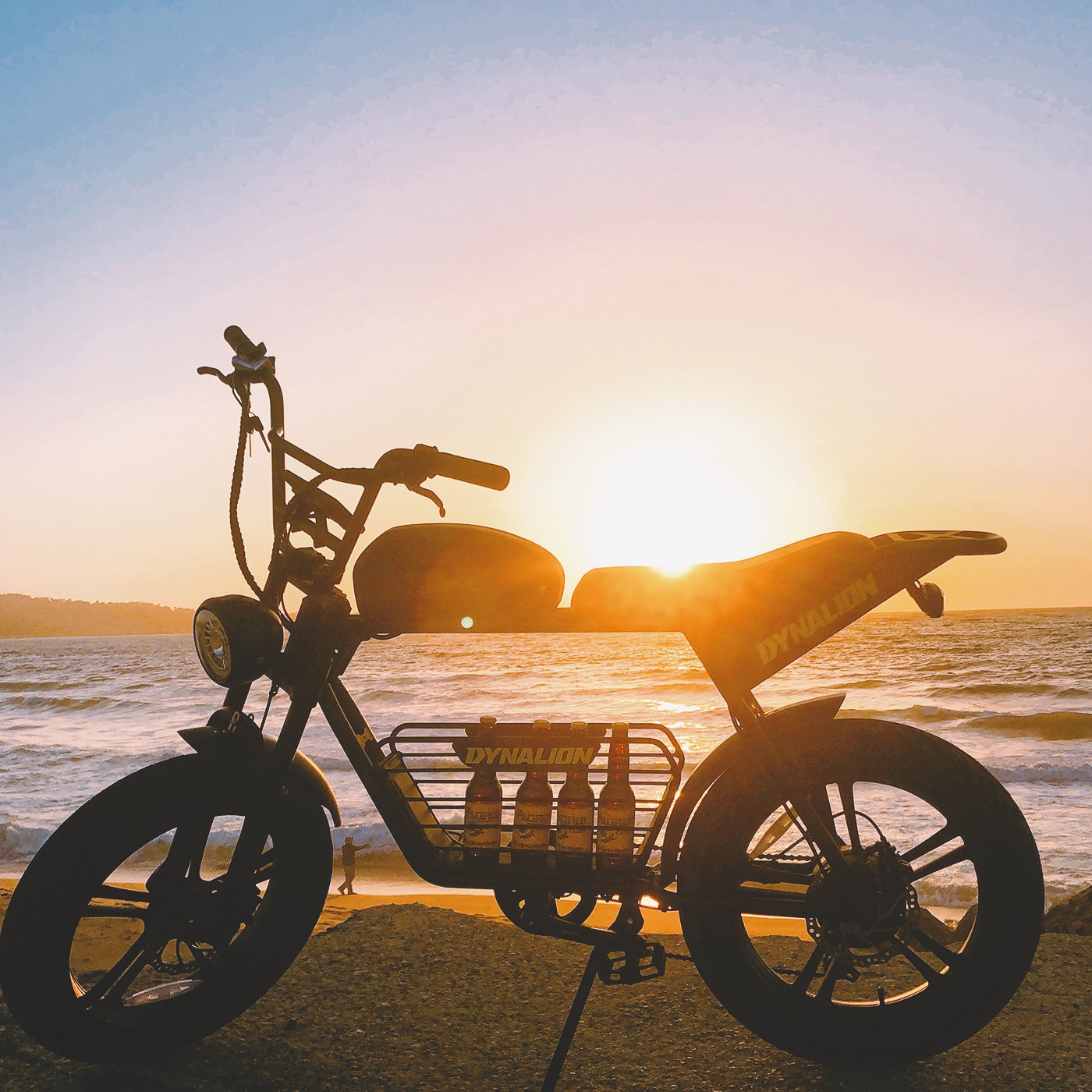 Factory Price 48v 1000w Emtb Retro E-Bike Electric Cycle Road Dirt Fat Tire E Bike Ebike Electric Mountain Bike